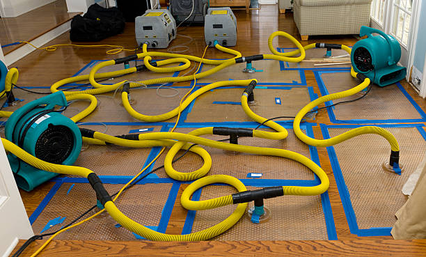 Professional Structural Drying And Dehumidification technician working in Hayesville, OR